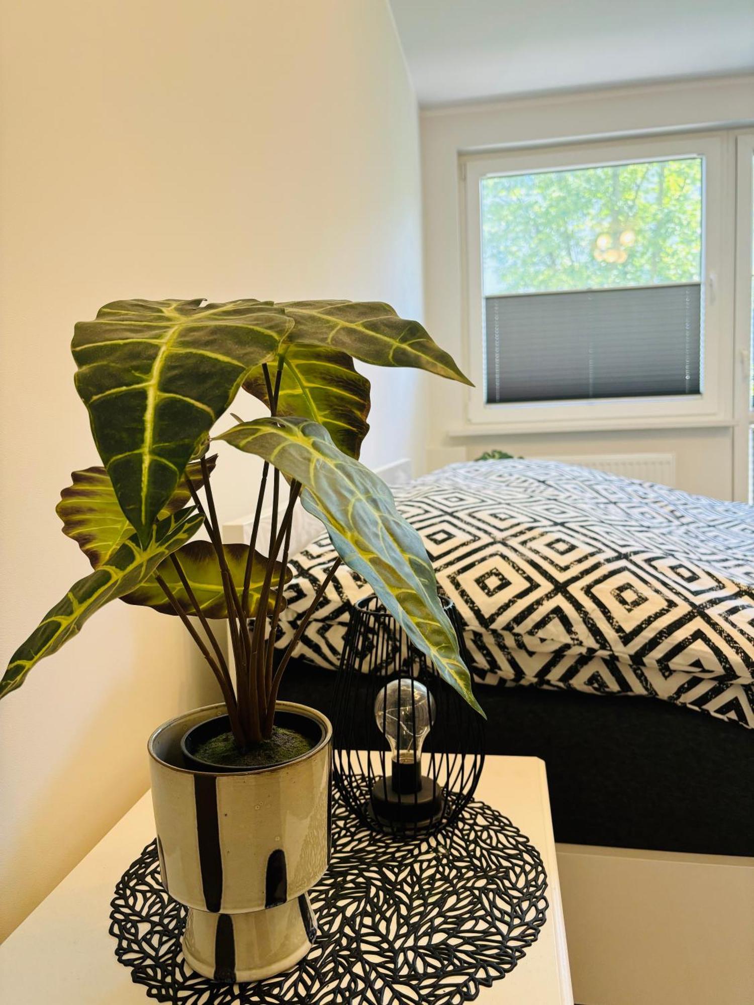 Apartament Centrum Swinoujscie 1 Экстерьер фото